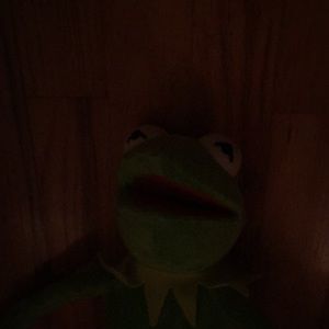 Meet your Posher, Karly